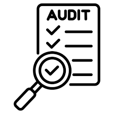 Audit icon